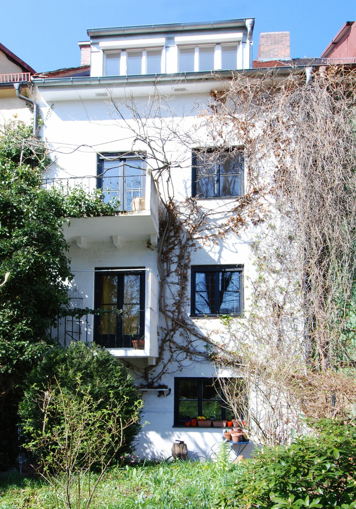 House view