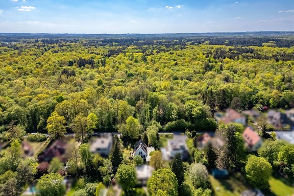 Natural location on the edge of the forest