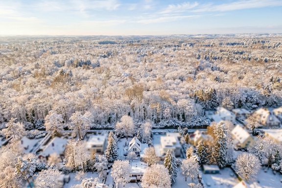 Natural location on the edge of the forest