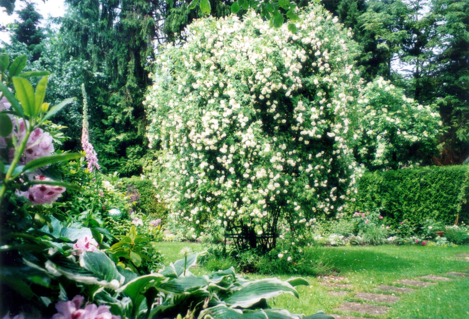 Garten