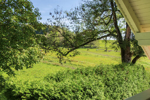View into the green from the upper floor
