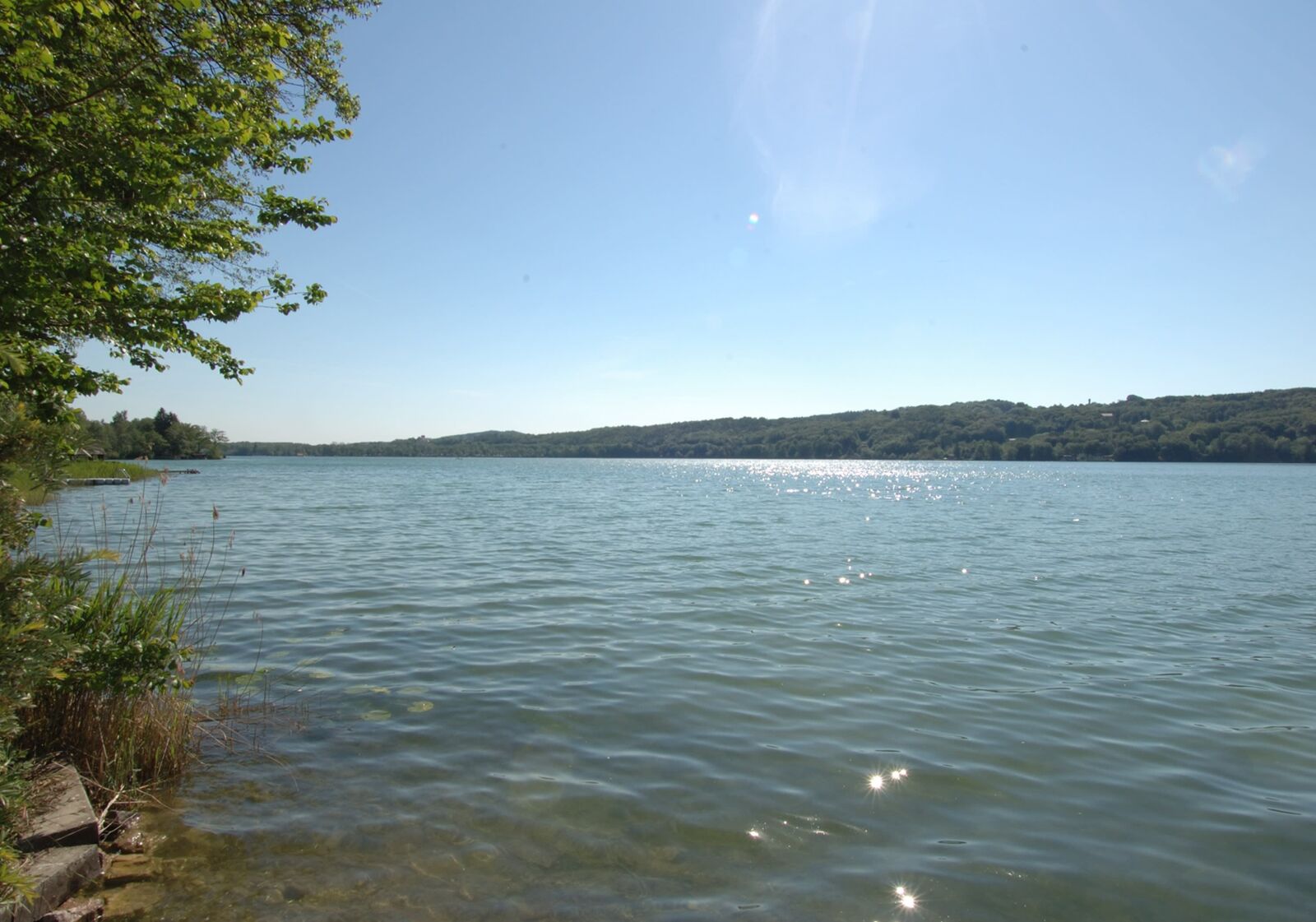 See
