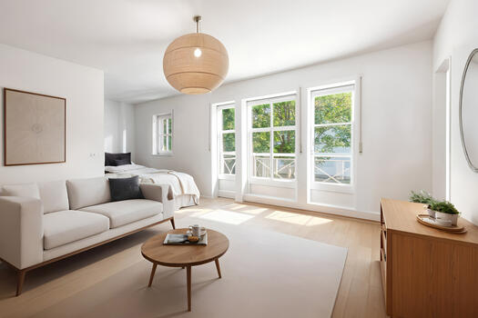 1-room apartment (visualized)