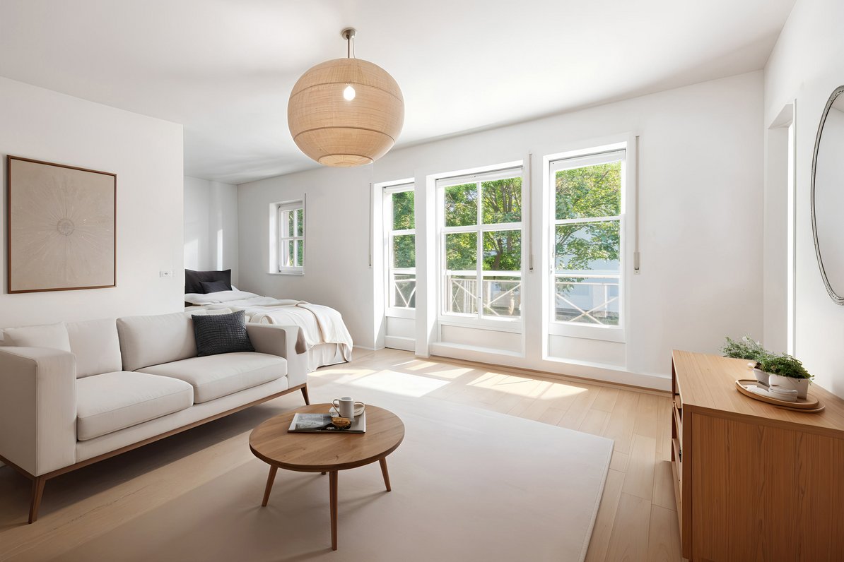 1-room apartment (visualized)