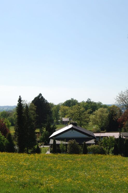 Ausblick