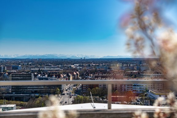 Spektakulärer Roofgarden