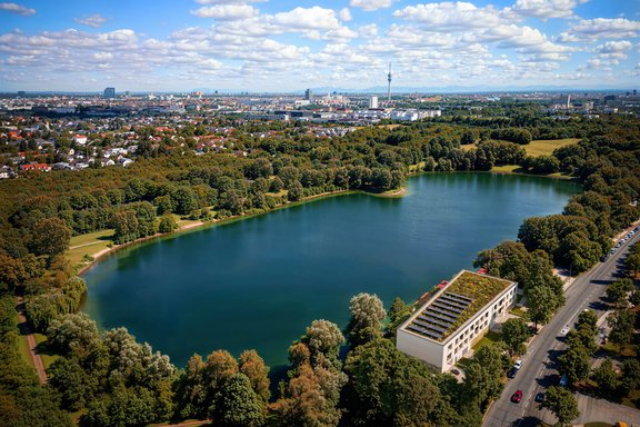 Bird's eye view (visualization)