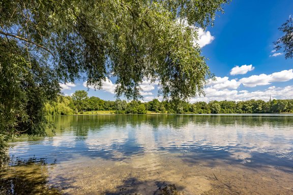 Blick auf den See