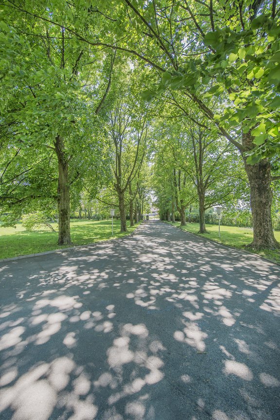 Representative driveway