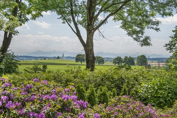 Magnificent view of the Alps