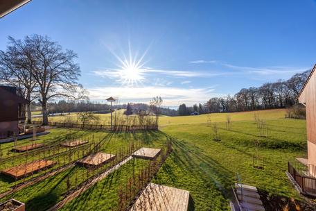 Neubau: Eckhaus mit Liegeinsel im privaten Garten und Seeblick