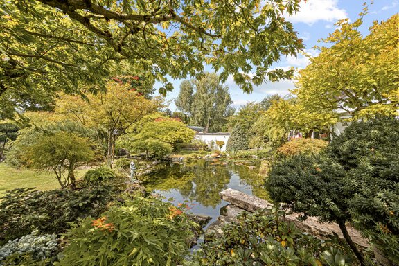 Japanese Garden