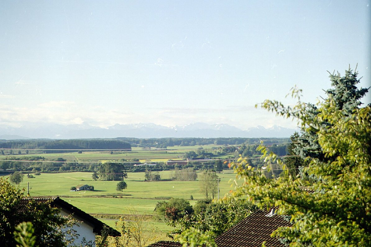 Blick