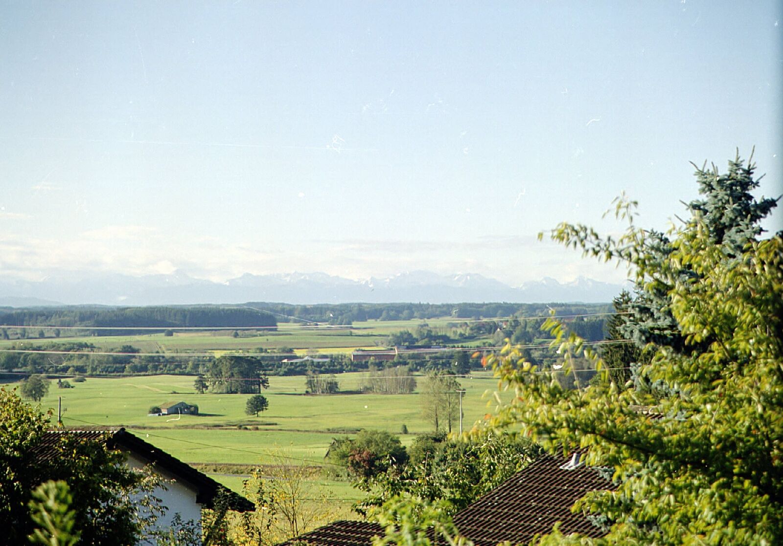 Blick