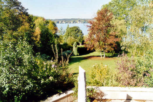 Lake view