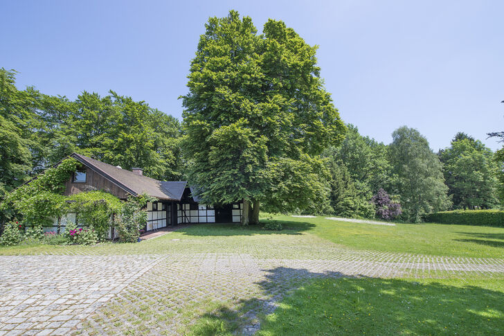 Parklandschaft