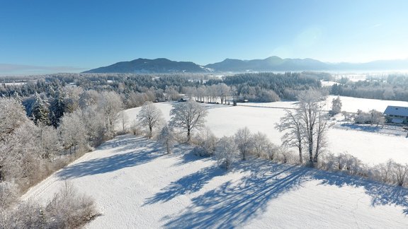 Wonderful winter landscape