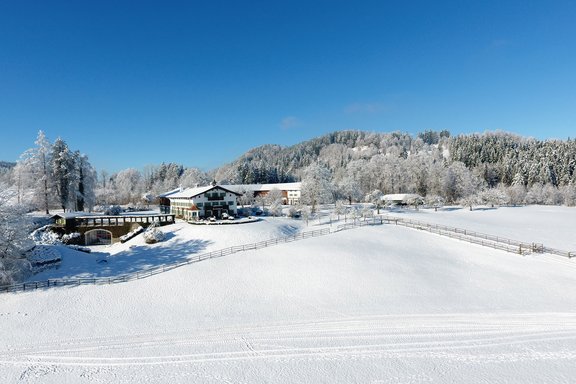 View from the course riding arena