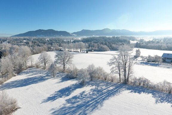 Wonderful winter landscape