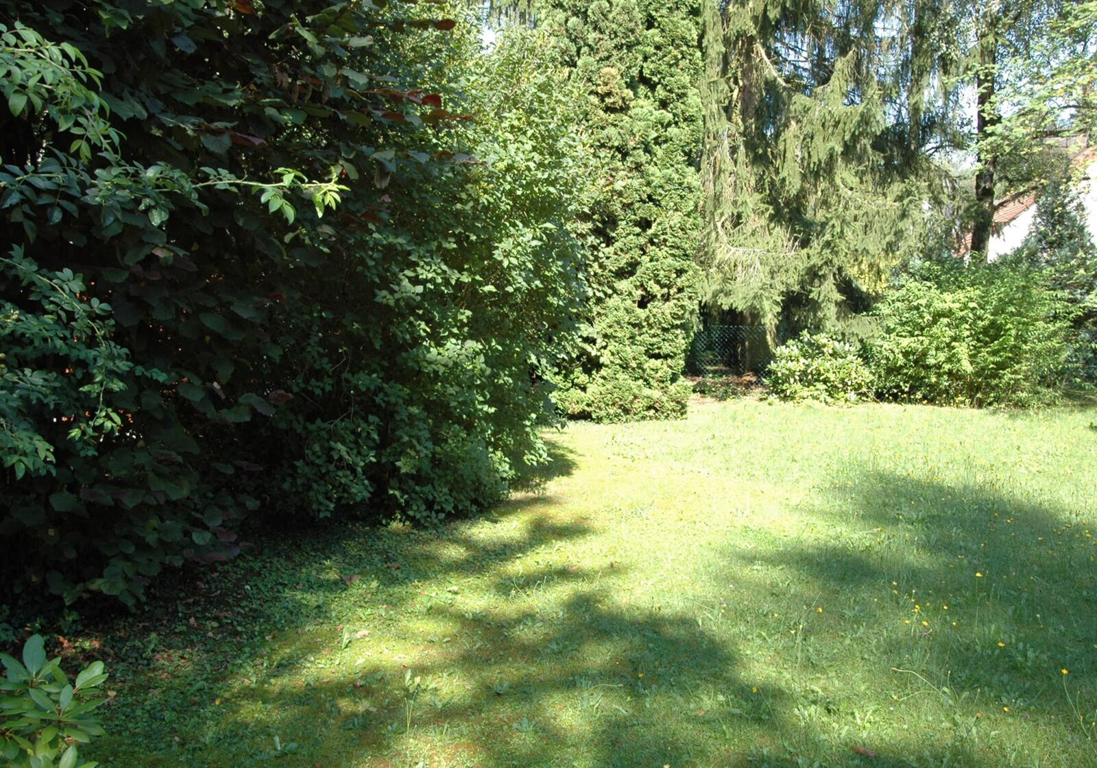 Blick in den Garten