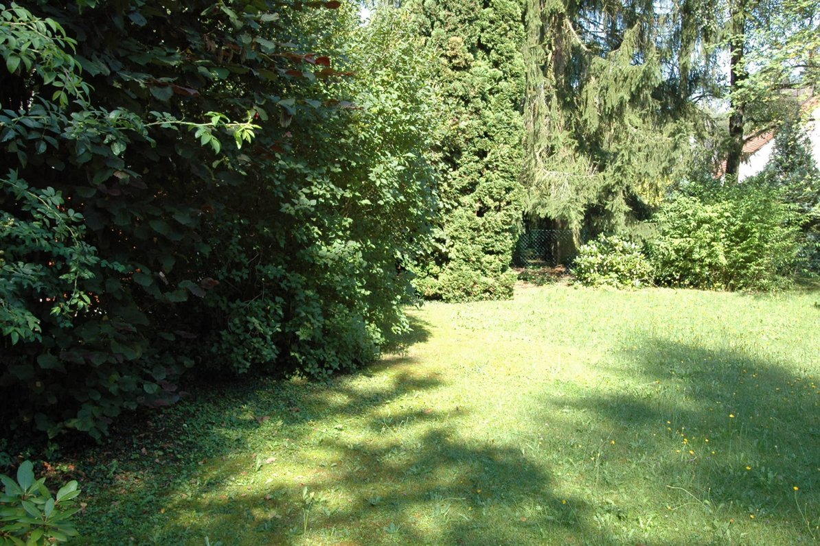 Blick in den Garten