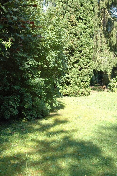 Blick in den Garten