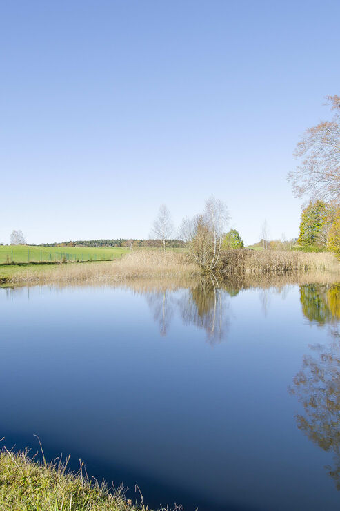 Eigener Fischweiher