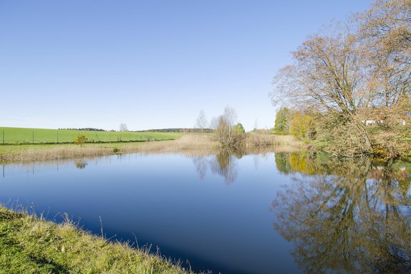 Eigener Fischweiher
