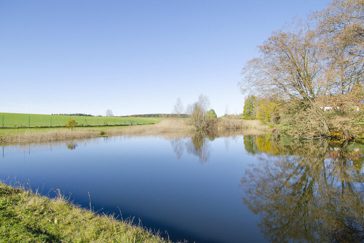 Eigener Fischweiher
