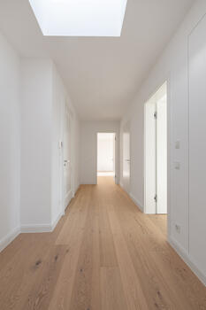 Entrance with skylight