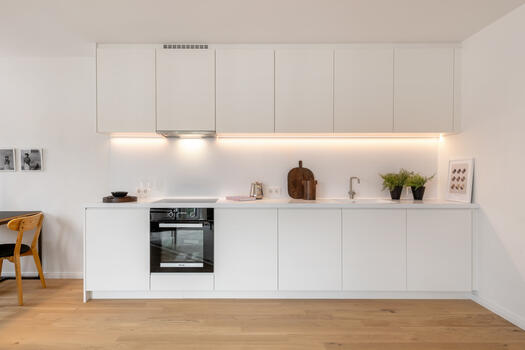 Carpenter's kitchen with appliances