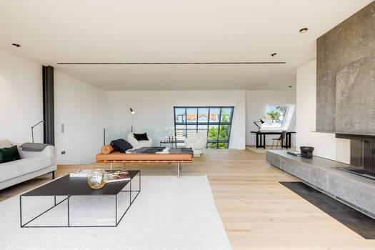 Living level with wood fireplace