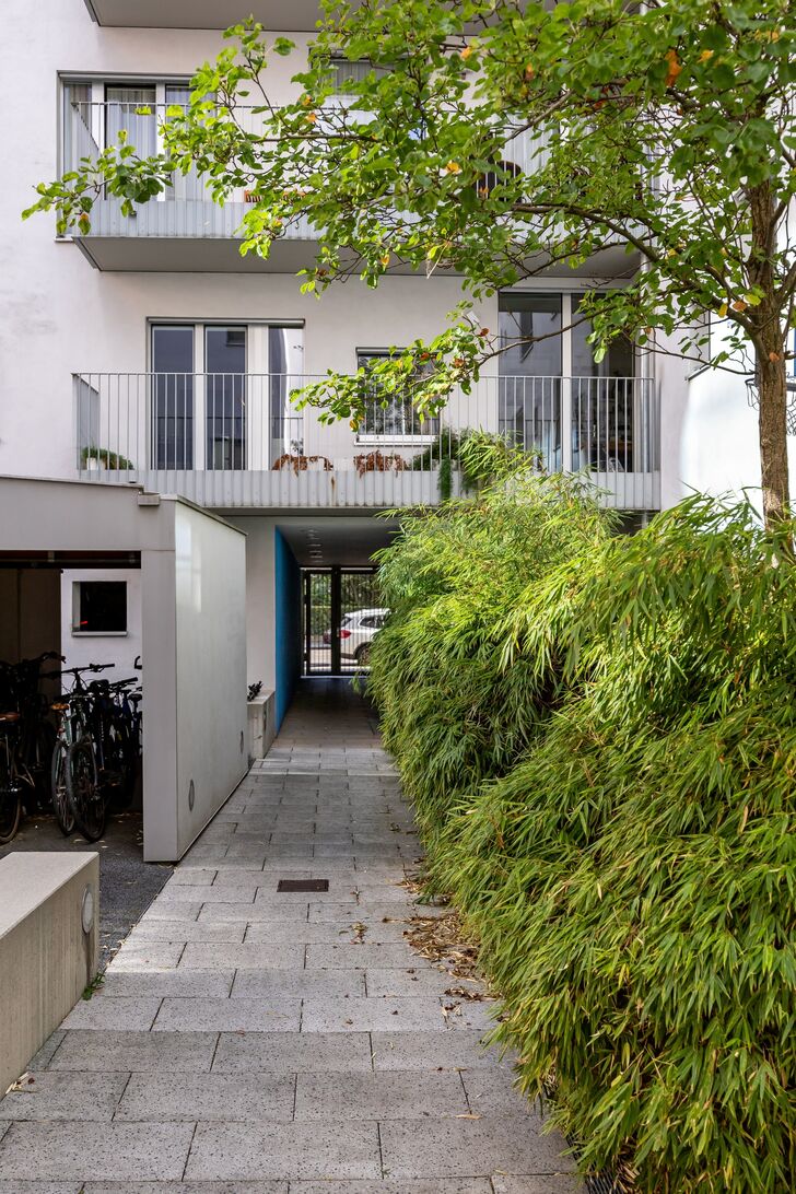 Begrünter Zugang zum Haus