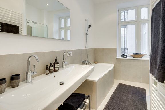 Daylight bathroom with shower