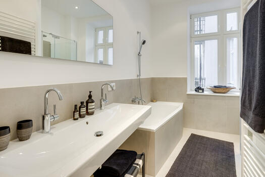 Daylight bathroom with shower