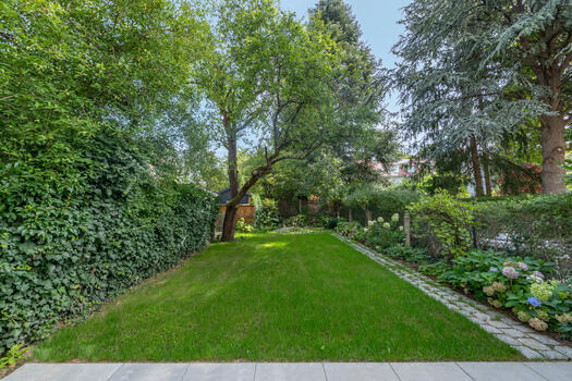 Newly designed south-east garden