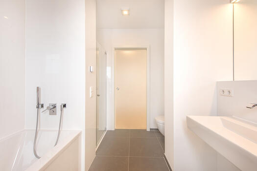 Daylight master bathroom with tub, shower and WC