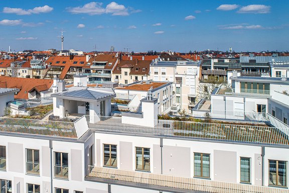 Blick auf den Dachgarten