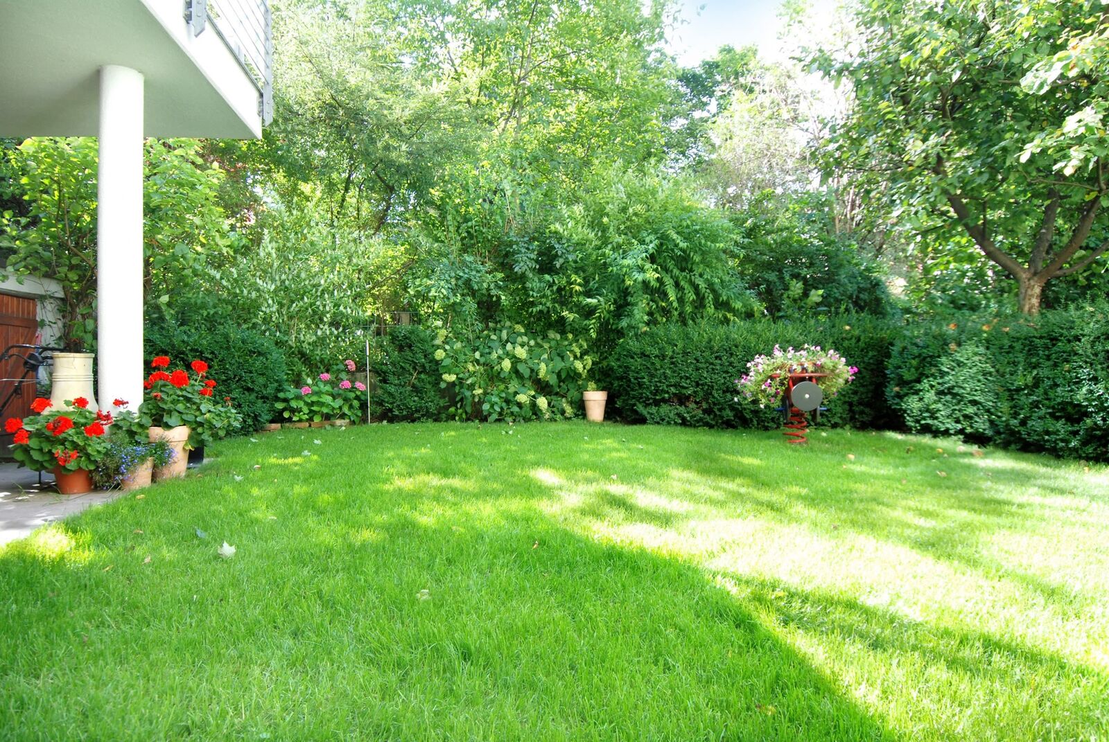 Blick in den Garten