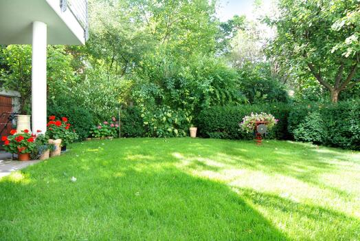 View into the garden