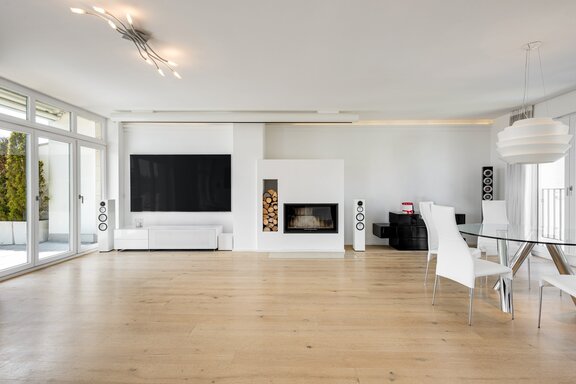Living area with fireplace