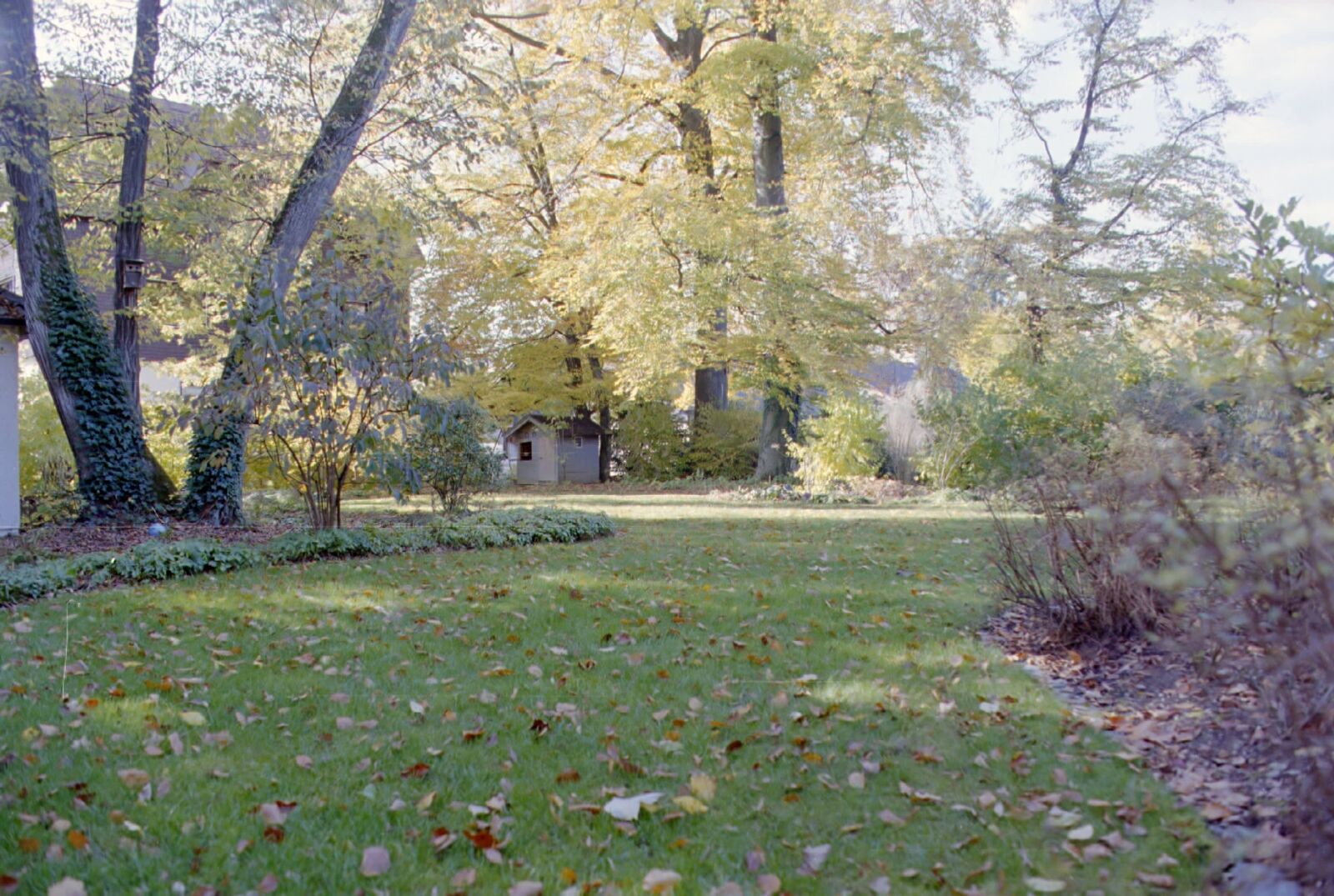 Garten