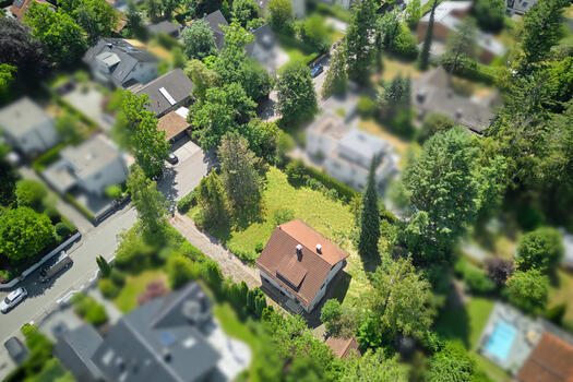Lot with old growth