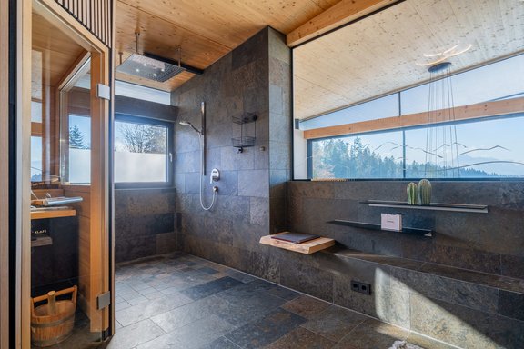 Wellness spa with sauna