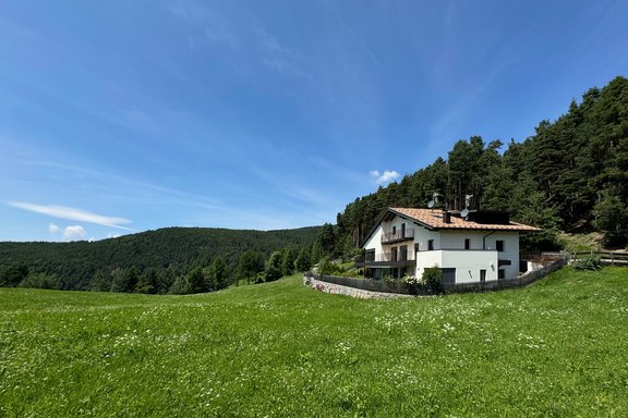 Wide meadows, quiet home