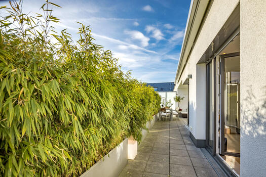 Roof terrace