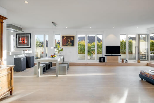 Living/dining area
