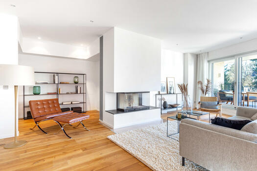 Panoramic fireplace with library