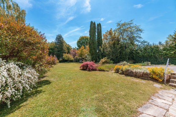 Spacious dream garden