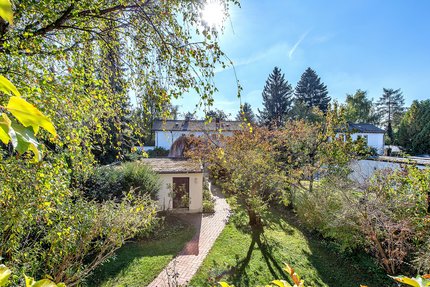 Sunny, south-facing garden